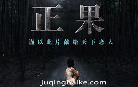 电影正果海报