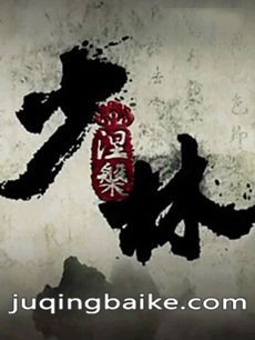 少林涅槃剧情介绍(1-50全集)