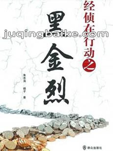 经侦在行动之黑金烈剧情介绍(1-34全集)