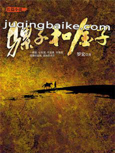 骡子与金子剧情介绍(1-36全集)