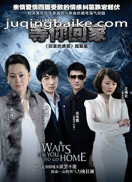 《等你回家宋佳版》剧情介绍(1-35全集)