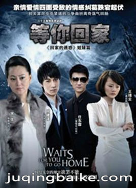 等你回家宋佳版剧情介绍,等你回家剧情简介(1-35全集)