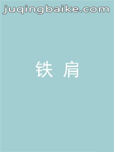 电视剧铁肩剧情介绍(1-30全集)