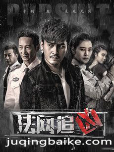 法网追凶第二季剧情介绍(1-12全集)
