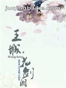 王城之花剑阙剧照
