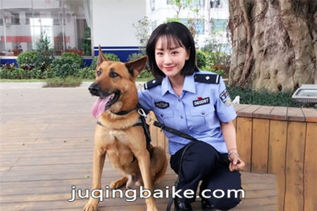 警犬来啦剧照