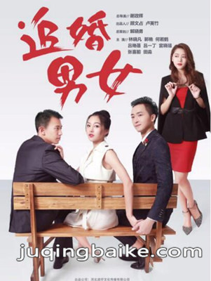 追婚男女剧照