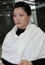 新女婿时代演员表何赛飞剧照