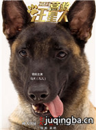 营救汪星人马犬九儿剧照