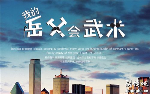 我的岳父会武术剧照