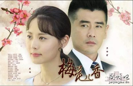 梅花儿香剧照