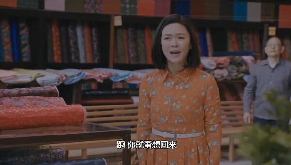 正阳门下小女人第9集剧照:陈雪茹生气廖玉成欺骗她