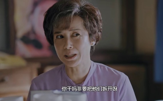 正阳门下小女人第37集剧照：徐慧真说服李国强父母