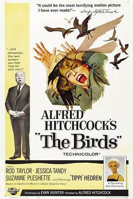 群鸟 The Birds剧情介绍