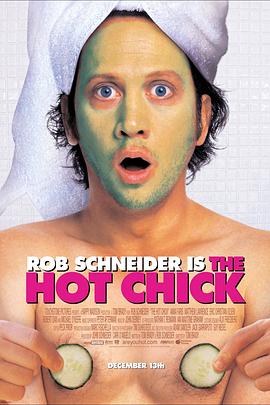 小姐好辣 The Hot Chick剧情介绍